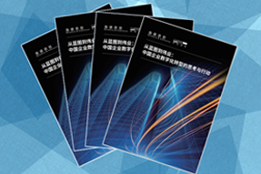 《从蓝图到伟业：中国企业数字化转型的思考与行动》