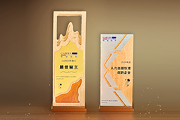 KU酷游(中国)国际一举斩获“2024年度中国区最佳雇主”等多项大奖