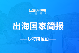 KU酷游(中国)GO GLOBAL | 沙特阿拉伯国家简报